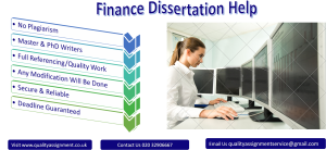 Finance dissertation